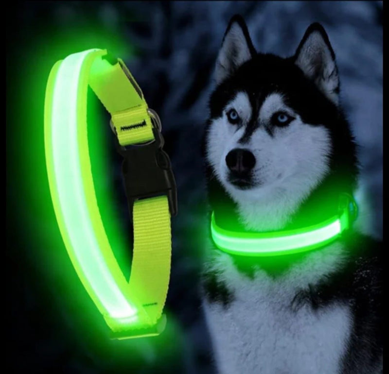 Collar LED Nocturno: Brilla con estilo, incluso en la oscuridad