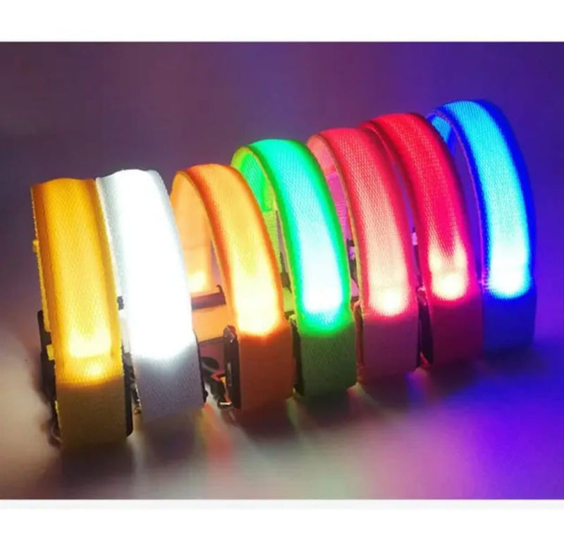 Collar LED Nocturno: Brilla con estilo, incluso en la oscuridad