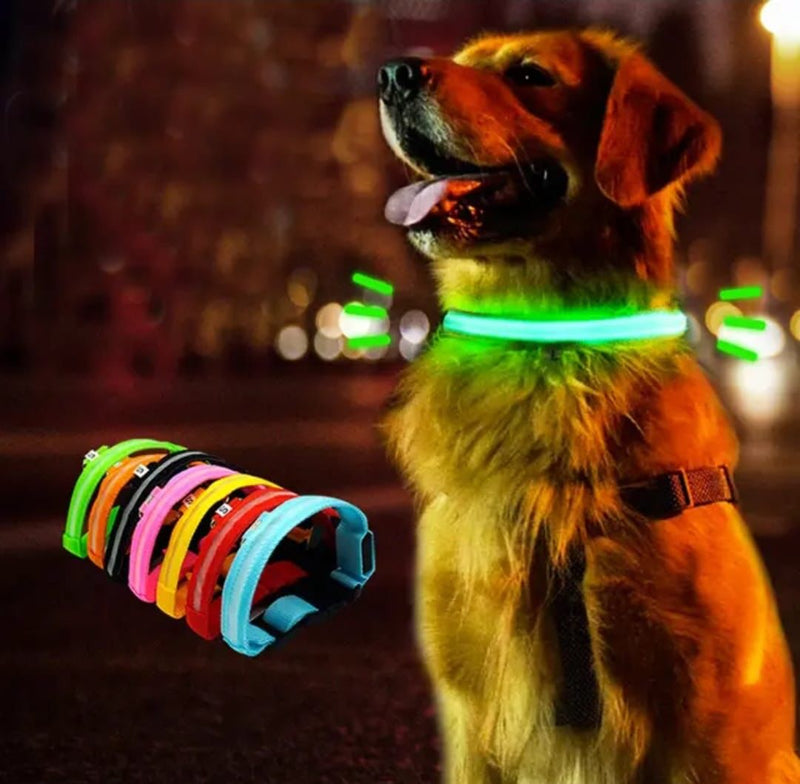 Collar LED Nocturno: Brilla con estilo, incluso en la oscuridad